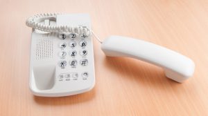 What is the Area Code 0113